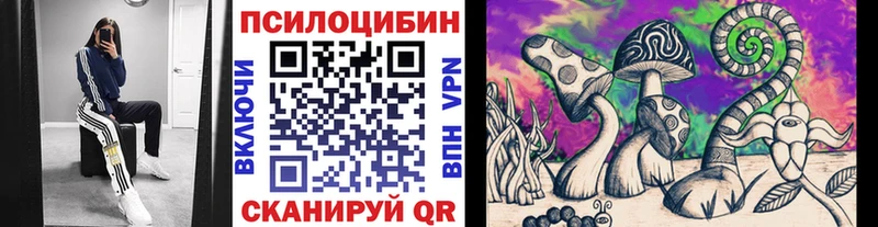 Псилоцибиновые грибы Cubensis  Воронеж 