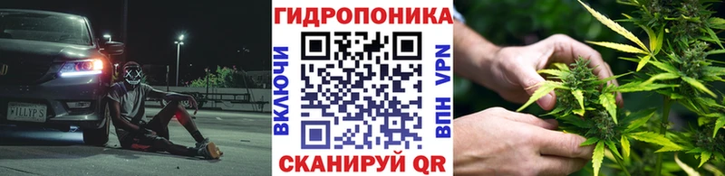 купить наркотик  Воронеж  Канабис ГИДРОПОН 